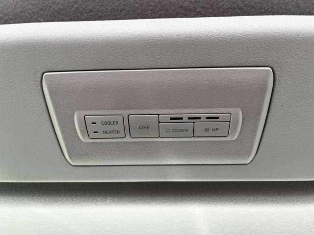 三菱 デリカ　Ｄ：５ ２．２ シャモニー 電動サイドステップ装着車 ディーゼルターボ ４ＷＤ R6年 (関東) 99