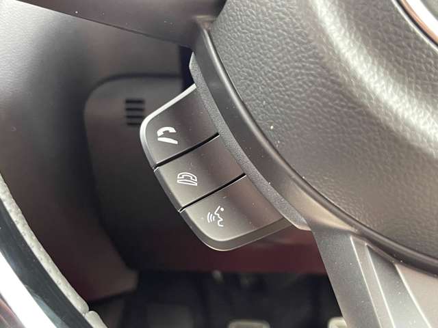 スズキ スイフト スポーツ １．４ R5年 (近畿) 99