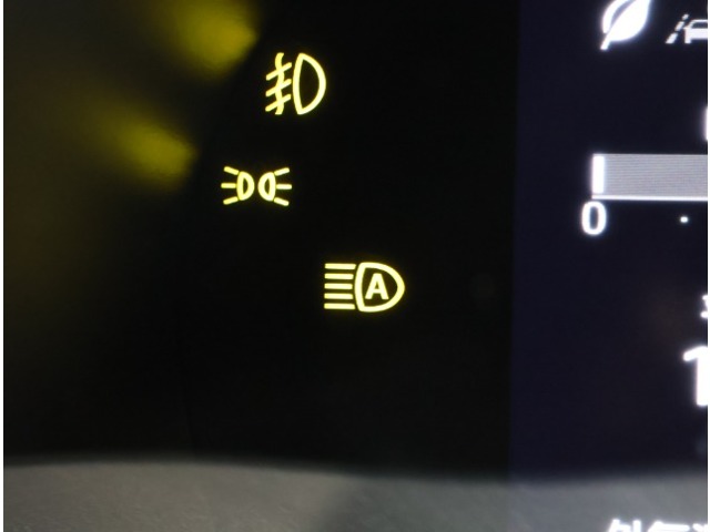 トヨタ ライズ １．０ Ｚ R3年 (関東) 99