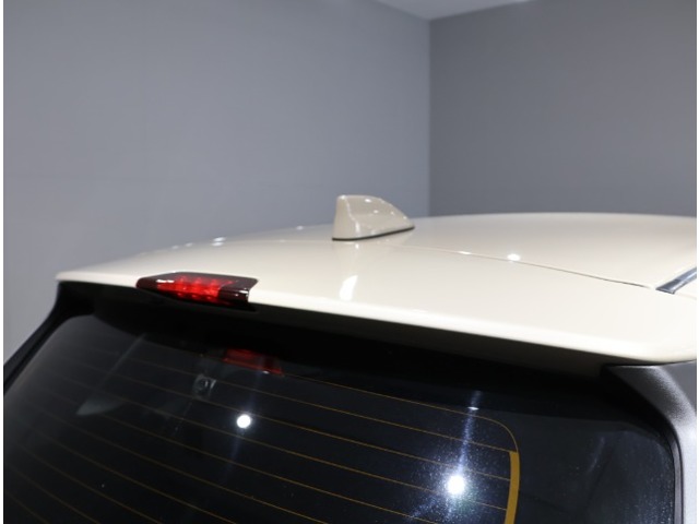 トヨタ ライズ １．０ Ｚ R3年 (関東) 99