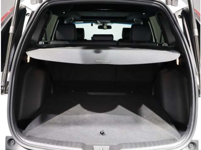 ホンダ ＣＲ−Ｖ １．５ ＥＸ ブラック エディション R2年 (関東) 99