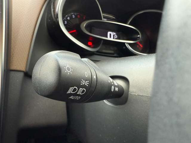 ルノー ルーテシア インテンス H28年 (東北) 99