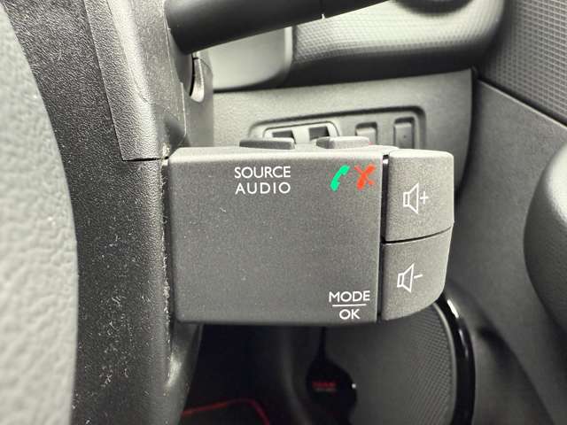 ルノー ルーテシア ゼン　ＭＴ H30年 (東北) 99