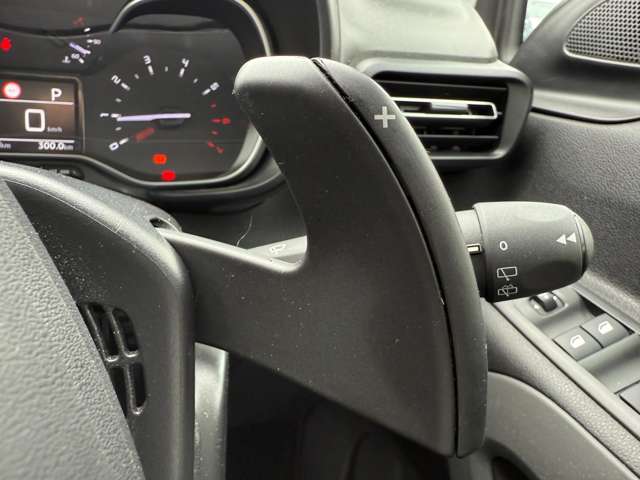 シトロエン ベルランゴ シャイン ディーゼルターボ R2年 (東北) 99