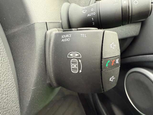 ルノー メガーヌ ルノー・スポール ２７３ ファイナル エディション H29年 (東北) 99