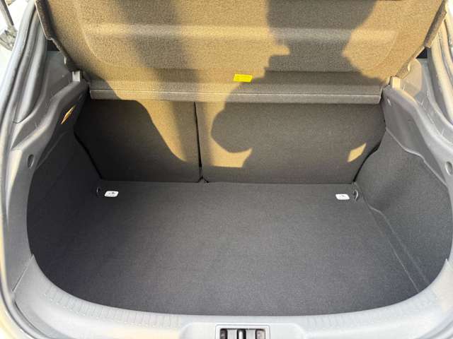 ルノー メガーヌ ルノー・スポール ２７３ ファイナル エディション H29年 (東北) 99