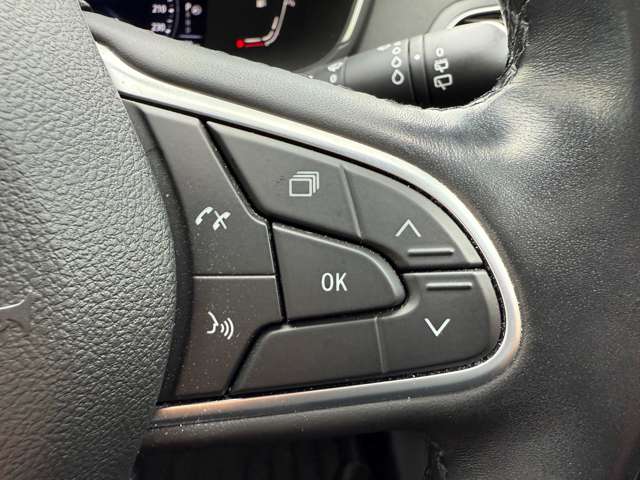 ルノー メガーヌ インテンス R4年 (東北) 99