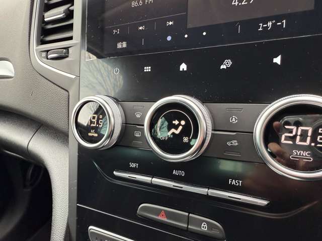 ルノー メガーヌ インテンス R4年 (東北) 99