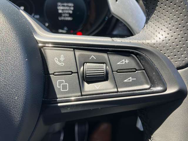 アルファロメオ トナーレ エディツィオーネ　スペチアーレ R5年 (東北) 99