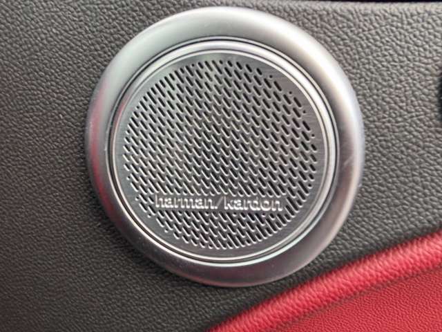 アルファロメオ ステルヴィオ ファースト エディション ４ＷＤ H30年 (東北) 99