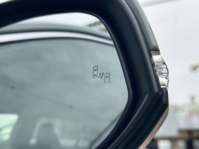 トヨタ ＲＡＶ４ ２．０ アドベンチャー ４ＷＤ R6年 (東海) 99