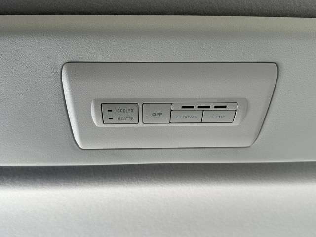 三菱 デリカ　Ｄ：５ ２．２ Ｐ ディーゼルターボ ４ＷＤ R6年 (東海) 99