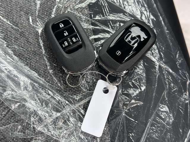 ホンダ フリード　ハイブリッド １．５ Ｅ：ＨＥＶ エアー ＥＸ R7年 (東海) 99