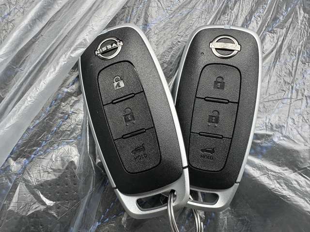 日産 エクストレイル １．５ ＡＵＴＥＣＨ アドバンスト パッケージ Ｅ－４ＯＲＣＥ ４ＷＤ R7年 (東海) 99