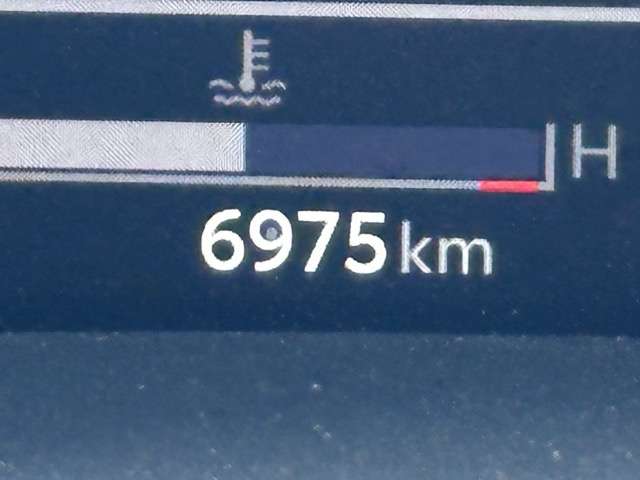 トヨタ ＧＲヤリス １．６ ＲＣ ＧＲ－ＤＡＴ ４ＷＤ R7年 (東海) 99