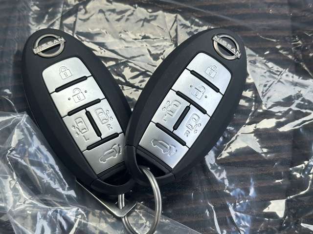 日産 エルグランド ２．５ ２５０ハイウェイスターＳ R7年 (東海) 99