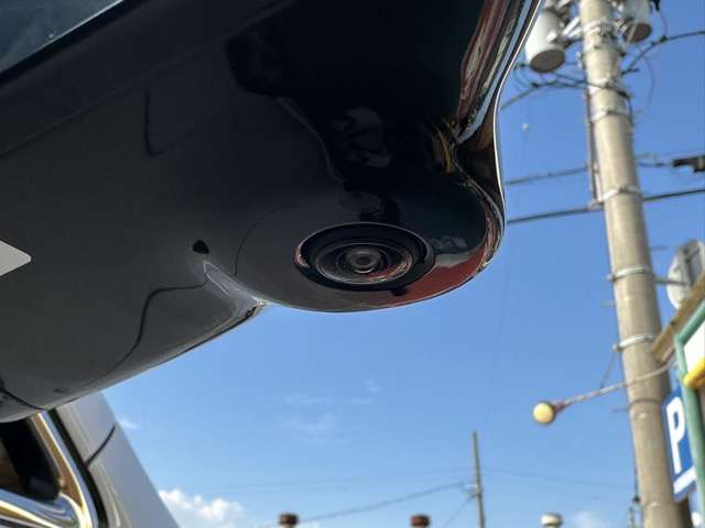 日産 エルグランド ２．５ ２５０ハイウェイスター プレミアム R7年 (東海) 99