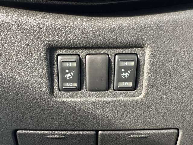 日産 エルグランド ２．５ ２５０ハイウェイスター プレミアム R7年 (東海) 99