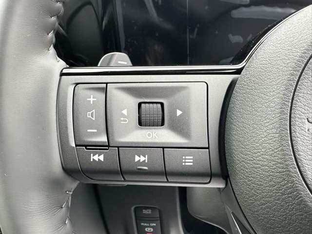 日産 セレナ ２．０ ハイウェイスターＶ R7年 (東海) 99