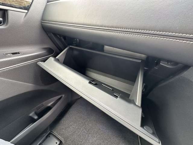 三菱 デリカ　Ｄ：５ ２．２ シャモニー 電動サイドステップ装着車 ディーゼルターボ ４ＷＤ R6年 (東海) 99