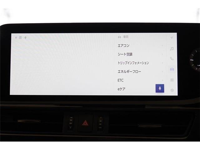 レクサス ＥＳ３００ｈ Ｆスポーツ R6年 (東海) 99