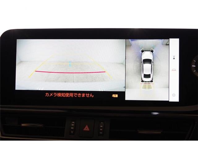 レクサス ＥＳ３００ｈ Ｆスポーツ R6年 (東海) 99