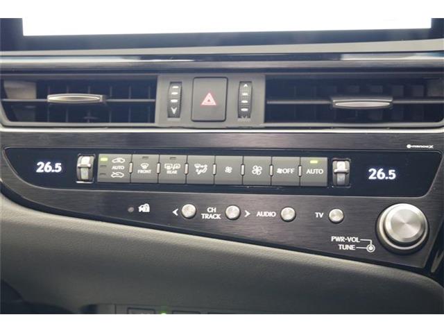 レクサス ＥＳ３００ｈ Ｆスポーツ R6年 (東海) 99