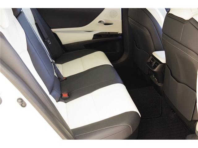 レクサス ＥＳ３００ｈ Ｆスポーツ R6年 (東海) 99