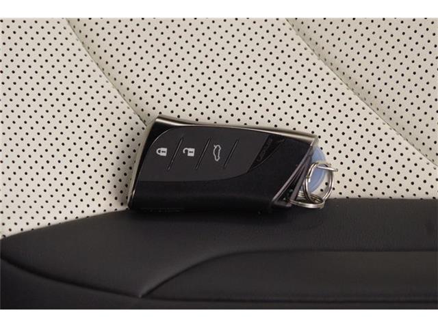 レクサス ＥＳ３００ｈ Ｆスポーツ R6年 (東海) 99