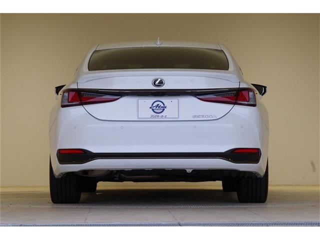 レクサス ＥＳ３００ｈ Ｆスポーツ R6年 (東海) 99