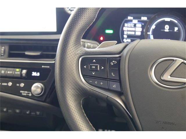 レクサス ＥＳ３００ｈ Ｆスポーツ R6年 (東海) 99