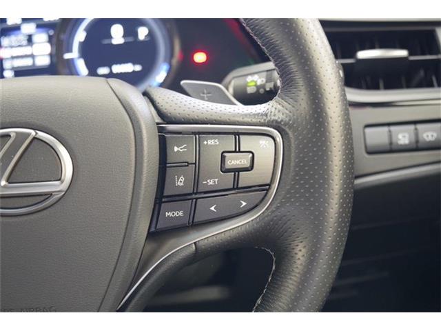 レクサス ＥＳ３００ｈ Ｆスポーツ R6年 (東海) 99