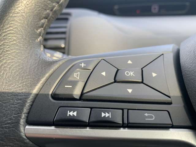 日産 セレナ ２．０ ハイウェイスター ４ＷＤ H29年 (東北) 99