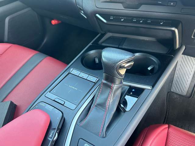 レクサス ＵＸ２５０ｈ Ｆスポーツ R1年 (九州・沖縄) 99