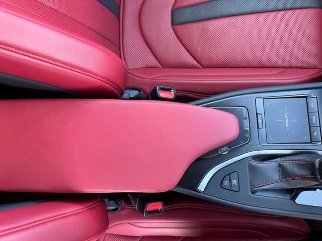 レクサス ＵＸ２５０ｈ Ｆスポーツ R1年 (九州・沖縄) 99