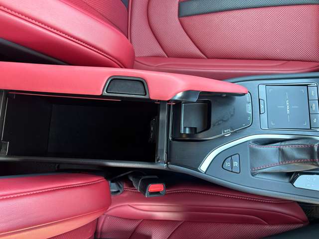 レクサス ＵＸ２５０ｈ Ｆスポーツ R1年 (九州・沖縄) 99