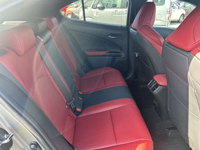 レクサス ＵＸ２５０ｈ Ｆスポーツ R1年 (九州・沖縄) 99