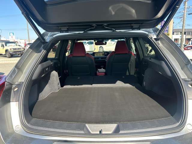 レクサス ＵＸ２５０ｈ Ｆスポーツ R1年 (九州・沖縄) 99