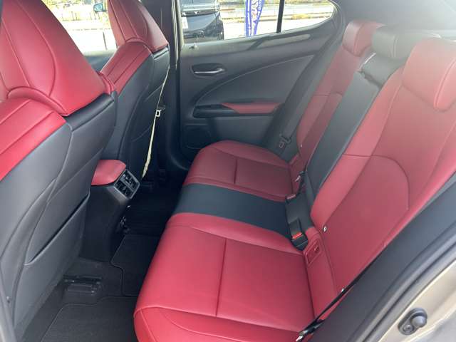 レクサス ＵＸ２５０ｈ Ｆスポーツ R1年 (九州・沖縄) 99