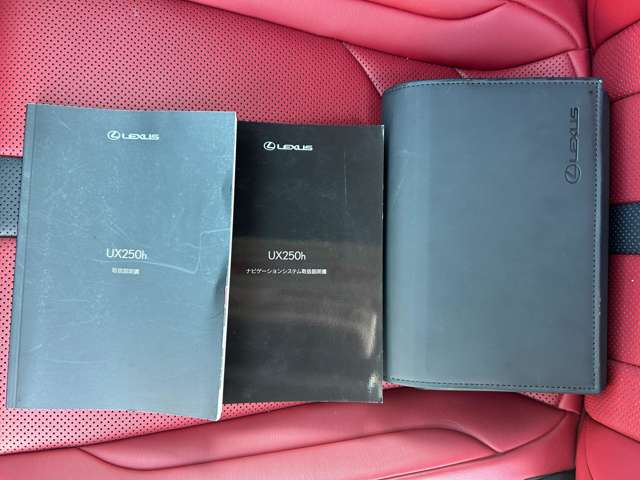 レクサス ＵＸ２５０ｈ Ｆスポーツ R1年 (九州・沖縄) 99