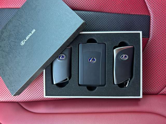 レクサス ＵＸ２５０ｈ Ｆスポーツ R1年 (九州・沖縄) 99