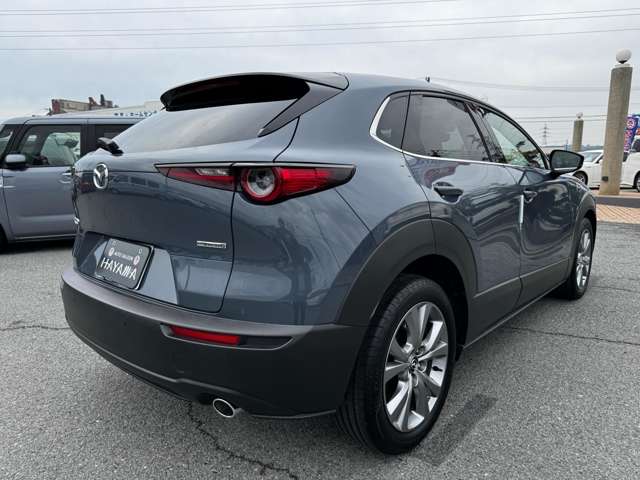 マツダ ＣＸ−３０ ２．０ ２０Ｓ プロアクティブ ツーリングセレクション R4年 (九州・沖縄) 99