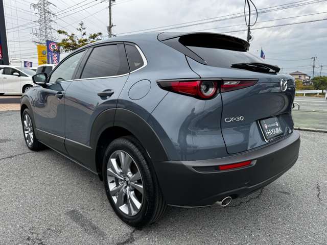 マツダ ＣＸ−３０ ２．０ ２０Ｓ プロアクティブ ツーリングセレクション R4年 (九州・沖縄) 99