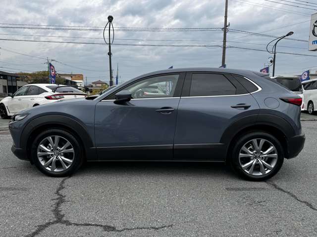 マツダ ＣＸ−３０ ２．０ ２０Ｓ プロアクティブ ツーリングセレクション R4年 (九州・沖縄) 99