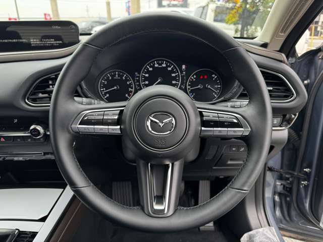 マツダ ＣＸ−３０ ２．０ ２０Ｓ プロアクティブ ツーリングセレクション R4年 (九州・沖縄) 99