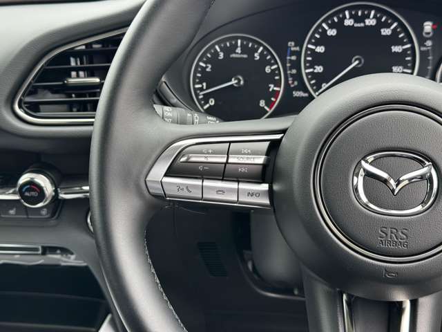 マツダ ＣＸ−３０ ２．０ ２０Ｓ プロアクティブ ツーリングセレクション R4年 (九州・沖縄) 99