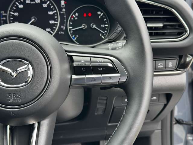 マツダ ＣＸ−３０ ２．０ ２０Ｓ プロアクティブ ツーリングセレクション R4年 (九州・沖縄) 99