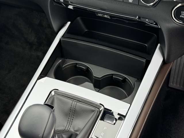 マツダ ＣＸ−３０ ２．０ ２０Ｓ プロアクティブ ツーリングセレクション R4年 (九州・沖縄) 99