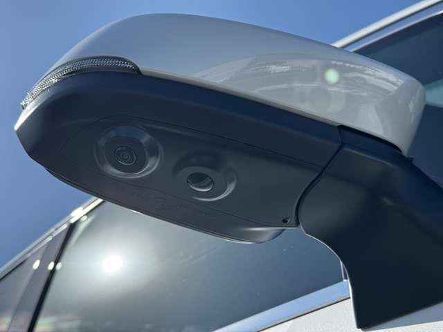 トヨタ アルファード ２．５ Ｚ R7年 (九州・沖縄) 99