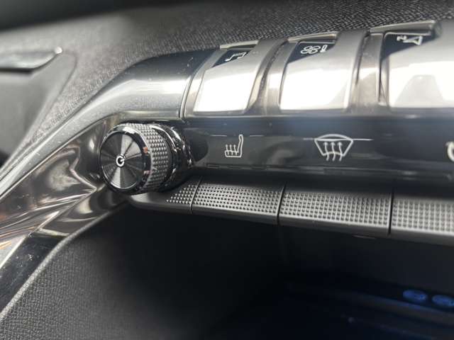 プジョー ３００８ ＧＴライン ブルーＨＤＩ ディーゼルターボ R2年 (東北) 99